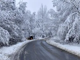 Pługopiaskarka w rowie w powiecie brzozowskim na Podkarpaciu
