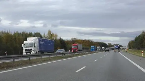 shutterstock_2431413597