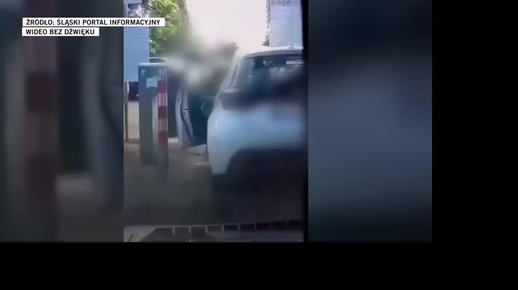 Śląski Portal Informacyjny