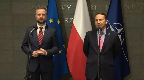 Kosiniak-Kamysz, Sikorski