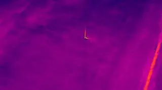 Działania prowadzone były z użyciem dronów z termowizją