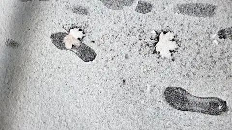 Nocą mróz i śnieg, w dzień silny wiatr 