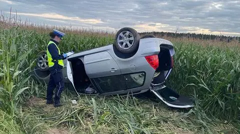 Auto wylądowało w polu kukurydzy 