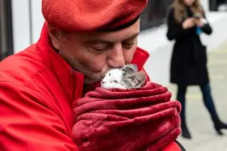 Curtis Sliwa, kampania wyborcza 2021 rok