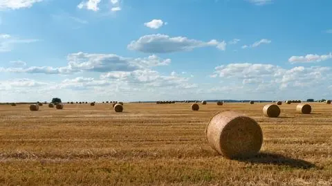 Pogodnie, słonecznie, gorąco, koniec lata