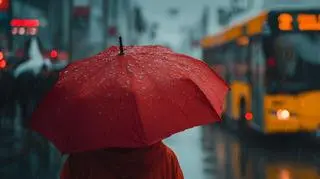 Uderzenie zimna spod bieguna. Co pokazuje prognoza pogody