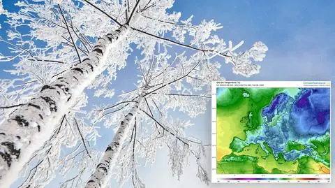 Zima wróci do Polski. "Temperatura spadnie na łeb na szyję"