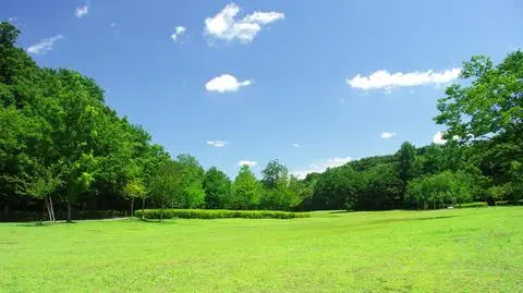 Pogodnie, słonecznie