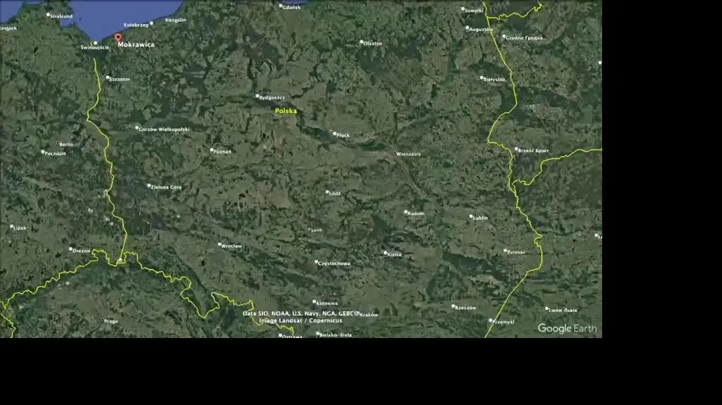 mokrawica