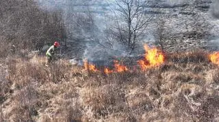 Pożar trawy na Wilanowie