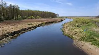 Biebrza