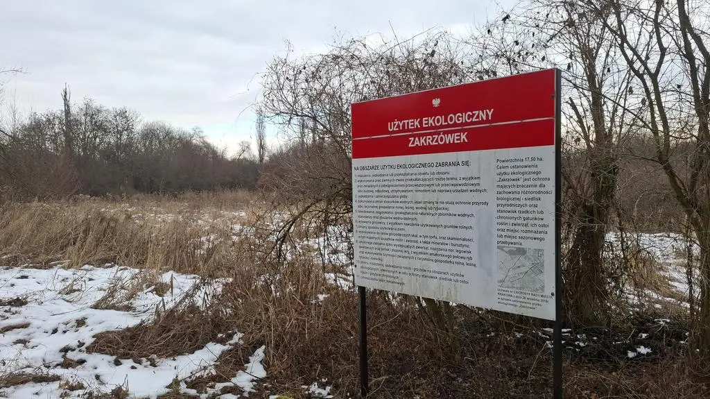 Użytek ekologiczny Zakrzówek