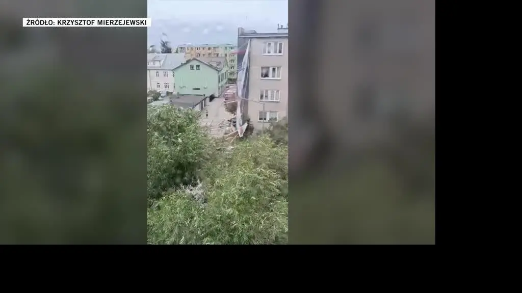 Krzysztof Mierzejewski 