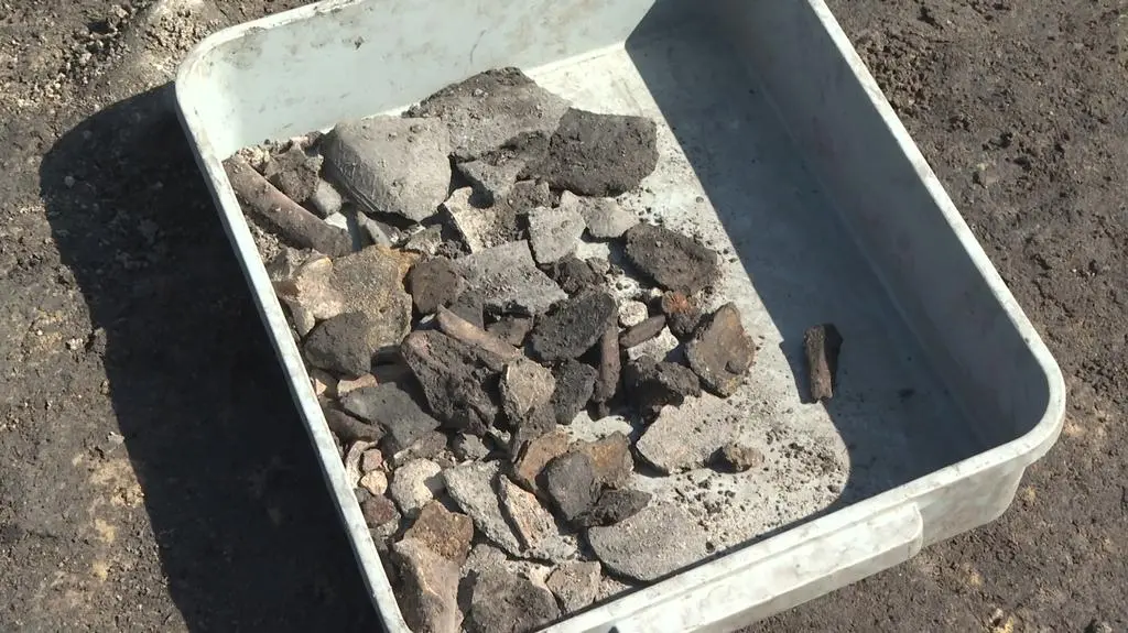Wykopaliska archeologiczne w Wolinie