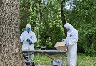 Odnaleźli fragmenty szkieletów co najmniej 42 osób