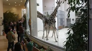 Placówka otrzymała zwierzęta w prezencie od innych ogrodów zoologicznych