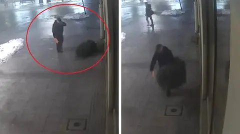 "Kiedy choinka nagle dostaje nóg i sama ucieka". Nagranie