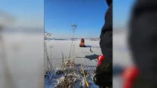 Strażacy ruszyli na pomoc łabędziowi w Wołowicach (woj. małopolskie)