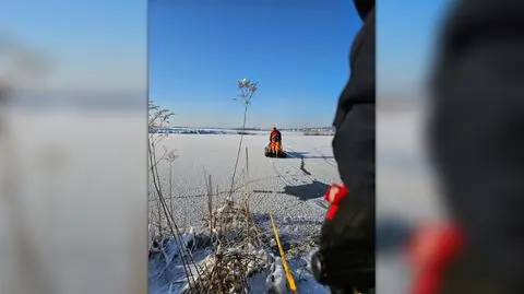 Strażacy ruszyli na pomoc łabędziowi w Wołowicach (woj. małopolskie)
