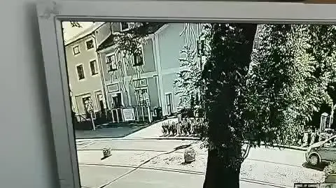 Moment upadku drzewa na jadące auto