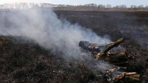 Skutki pożaru w Biebrzańskim Parku Narodowym