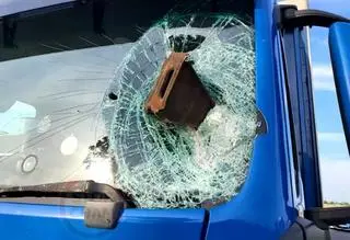 Klin uderzył w szybę ciężarówki