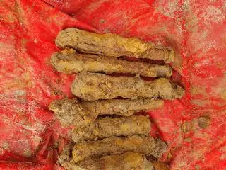 700 sztuk amunicji znaleziono w Wieliczce pod Krakowem