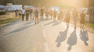 Pol'and'Rock Festival - teren imprezy