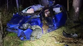 Kobieta potrąciła łosia, po czym wypadła z drogi i uderzyła w drzewo