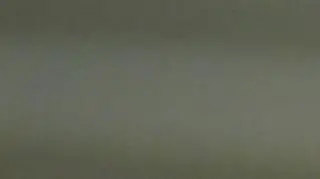 "Odstrzelono 168 tysięcy dzików"