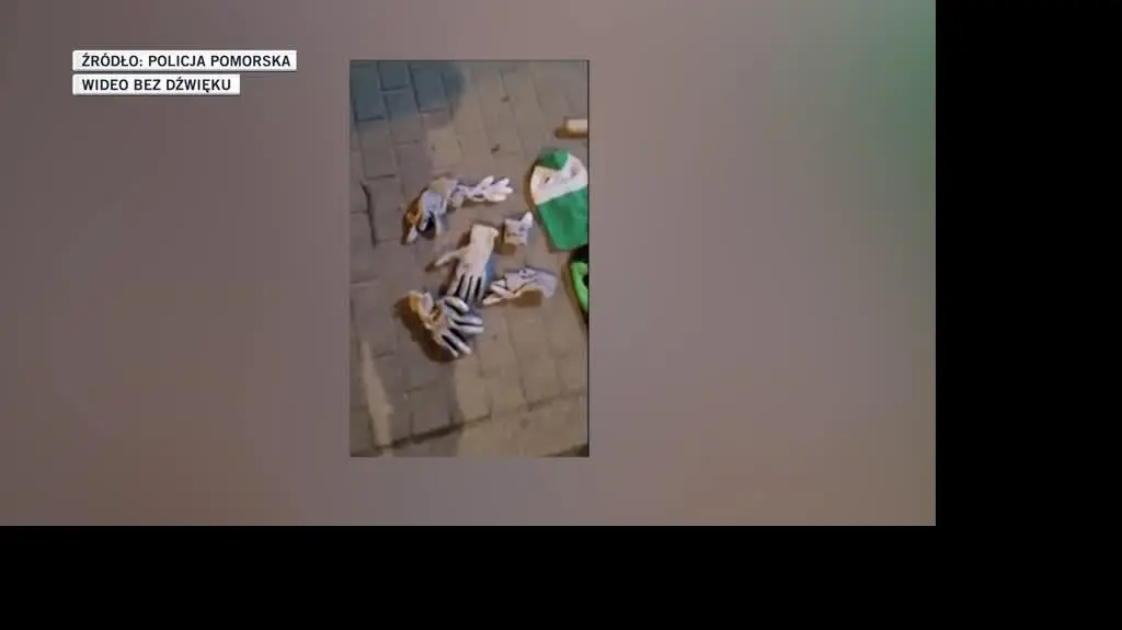 policja