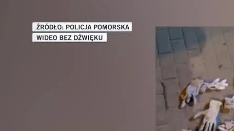policja