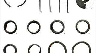 W ziemi znaleziono ozdoby z brązu sprzed 2,5 tysiąca lat 