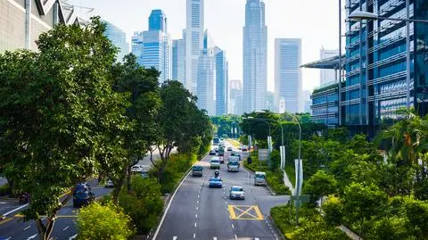 shutterstock_524545222