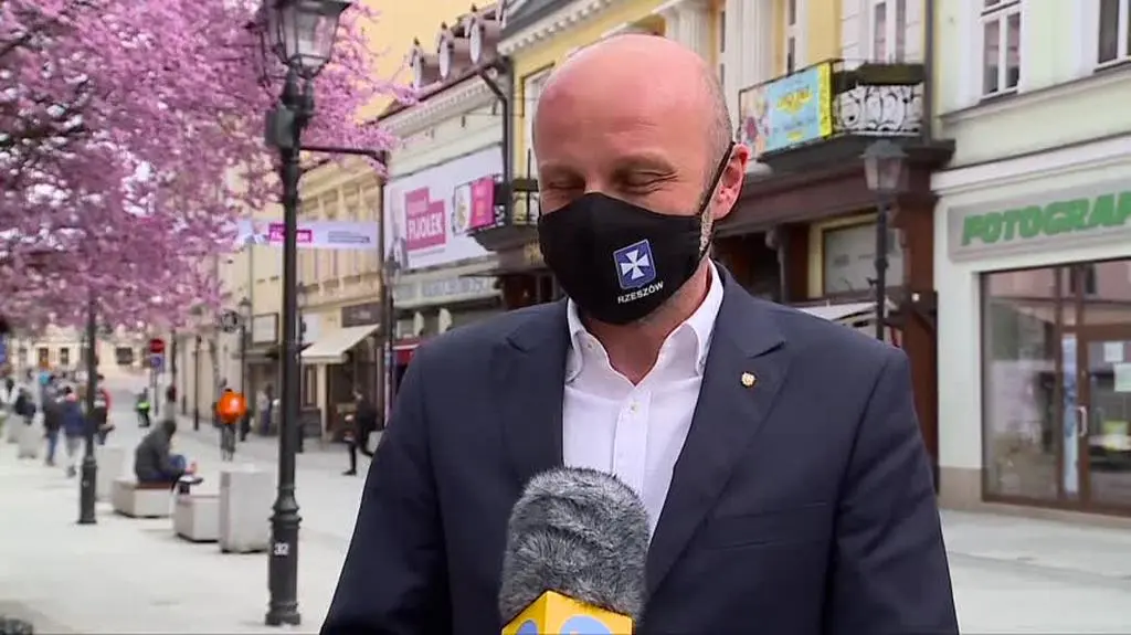 fijolek setka