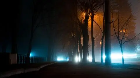 Mgły
