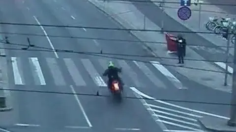 Potrącił psa i odjechał. Zwierzę nie przeżyło, motocyklisty szuka policja