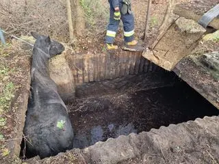 Akcja strażaków trwała blisko trzy godziny 