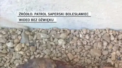 Patrol saperski Bolesławiec