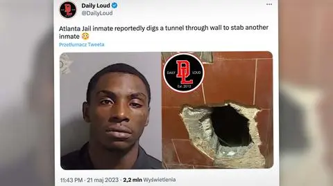 daily loud