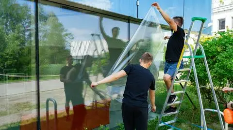 Folia ma uchronić ptaki przed zderzeniem ze ścianą