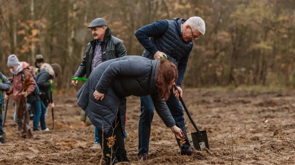 Jacek Jaśkowiak sadzący drzewo