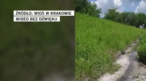 WIOŚ W KRAKOWIE