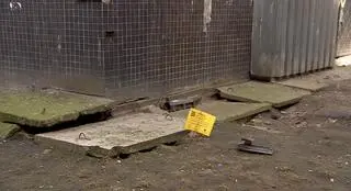 We Wrocławiu ruszyła wiosenna deratyzacja