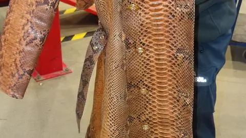 Celnicy znaleźli płaszcz i dwie pary butów ze skóry pytona 