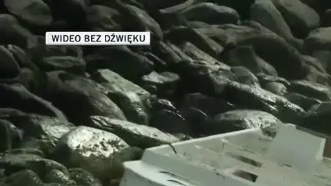 brazyliakrzyze