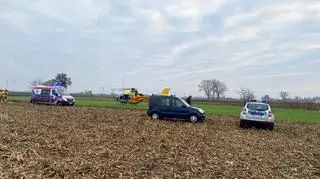 Do wypadku doszło przy wycince drzew