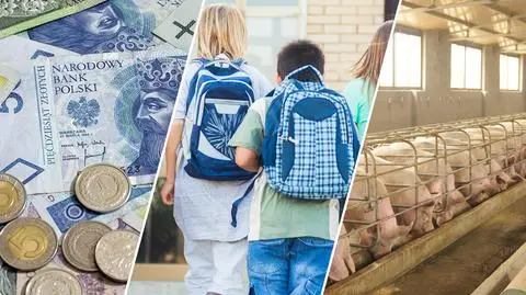 100 konkretów na 100 dni. Długa lista niezrealizowanych