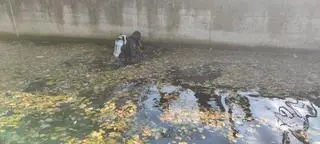 Poszukiwania w Darłówku