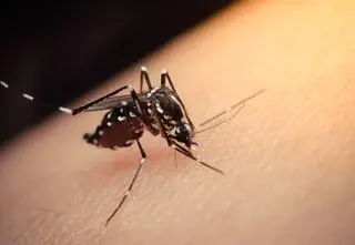 "Tak wyglądają nasze poranki: porównujemy, kto wstał, a kto nie mógł"